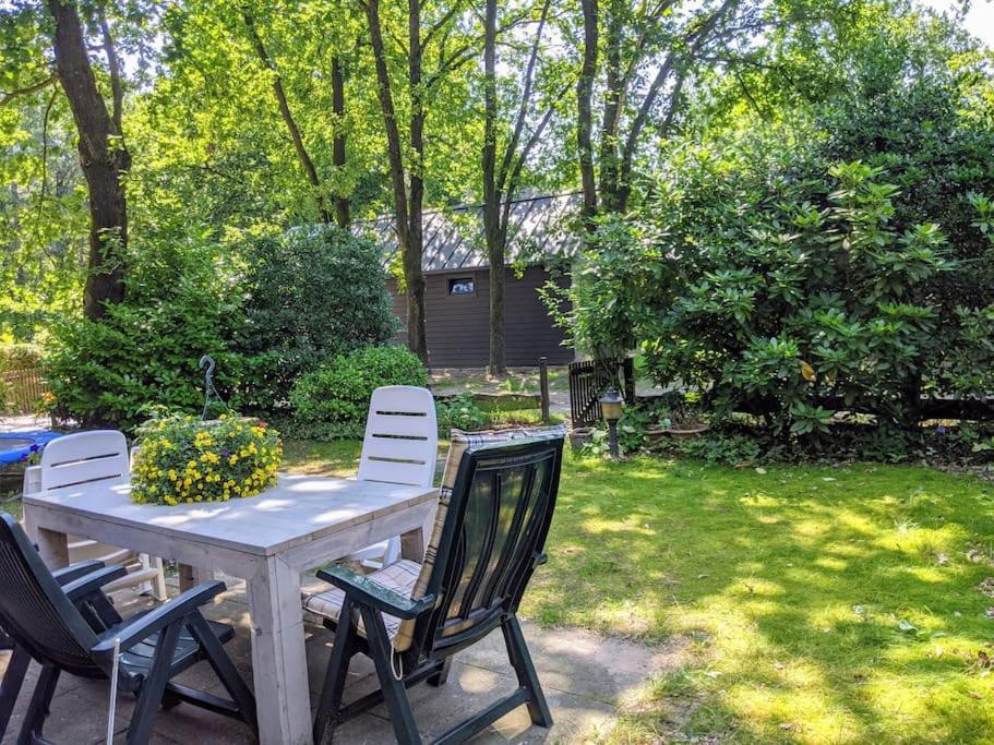 Sfeervol Chaletje In Een Rustige Bosrijke Omgeving Diessen Exteriér fotografie