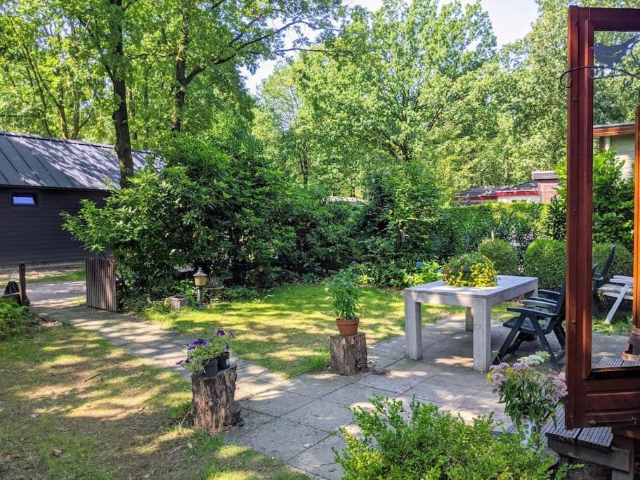 Sfeervol Chaletje In Een Rustige Bosrijke Omgeving Diessen Exteriér fotografie