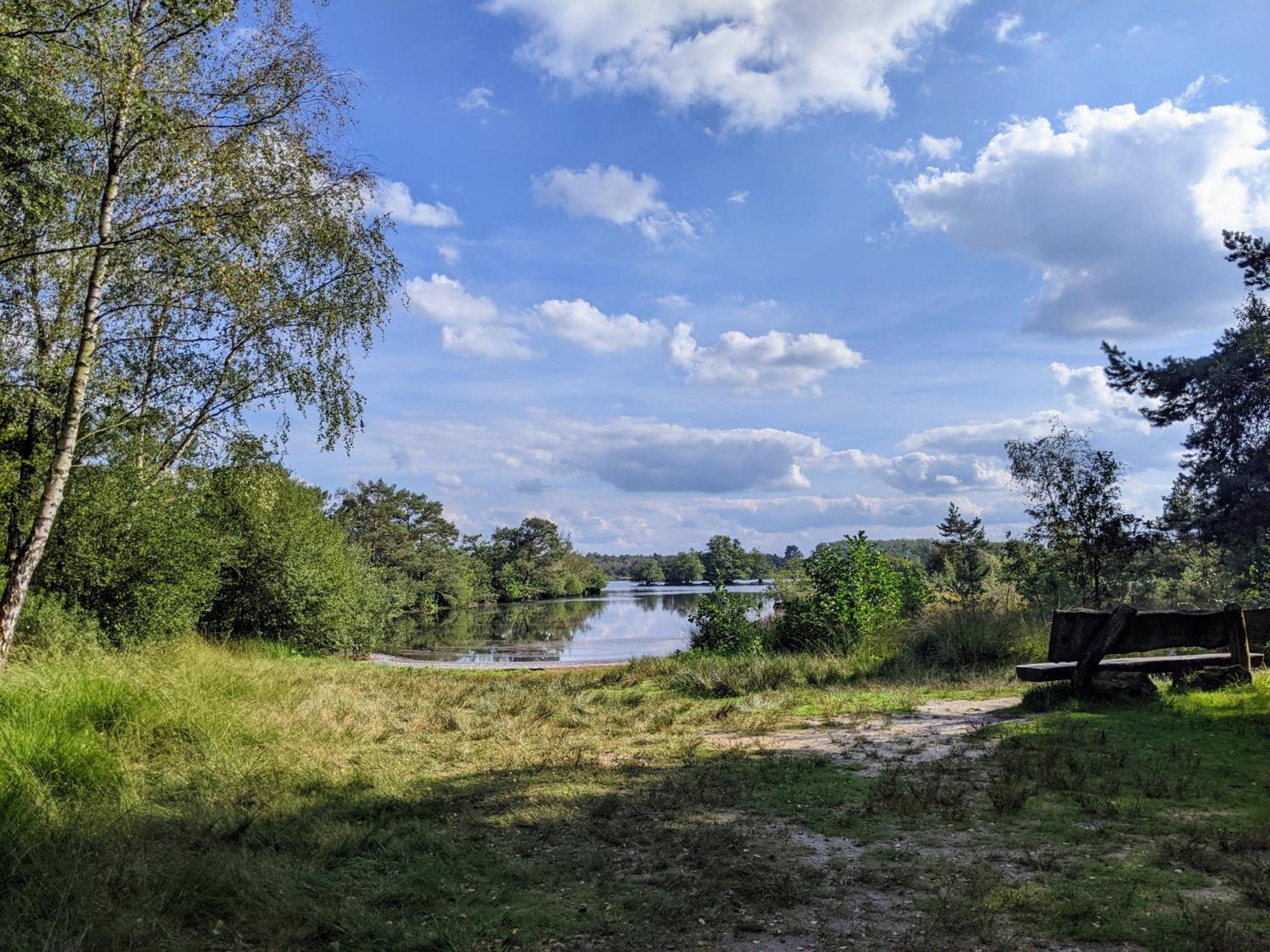 Sfeervol Chaletje In Een Rustige Bosrijke Omgeving Diessen Exteriér fotografie