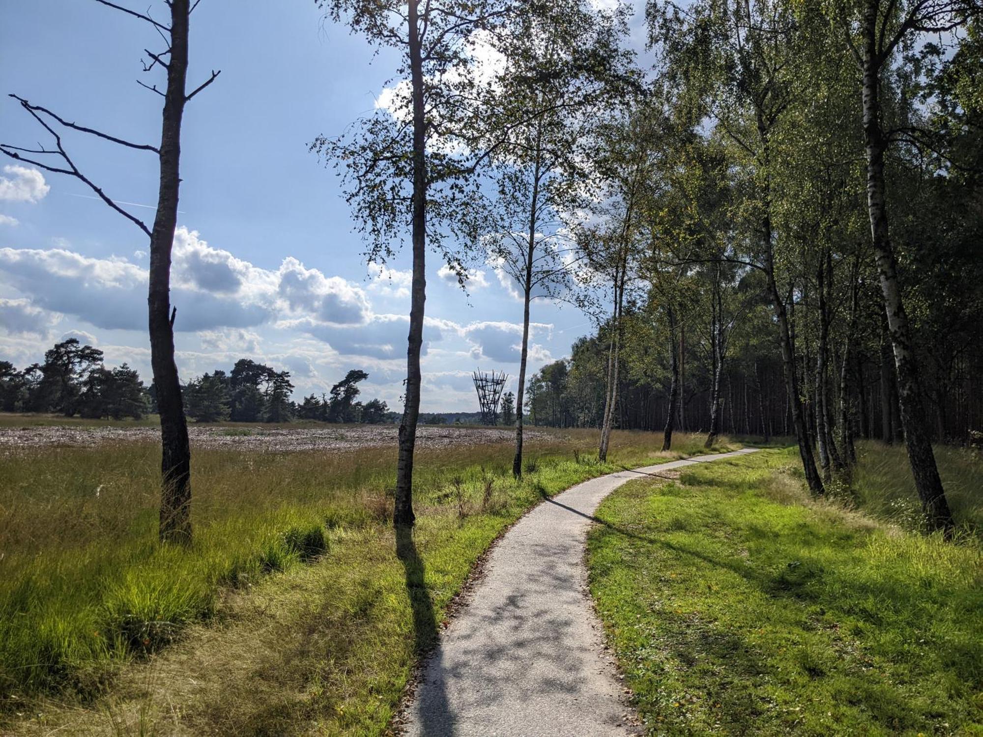 Sfeervol Chaletje In Een Rustige Bosrijke Omgeving Diessen Exteriér fotografie